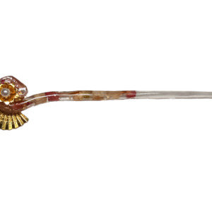 IMG20240320181337-Photoroom