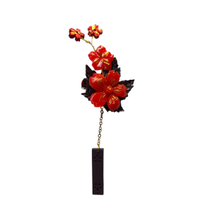 IMG20241128161523-Photoroom