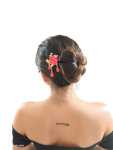 Colección Sakura en Floración